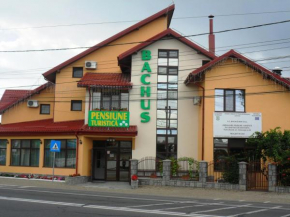 Pensiunea Bachus Piatra Neamţ